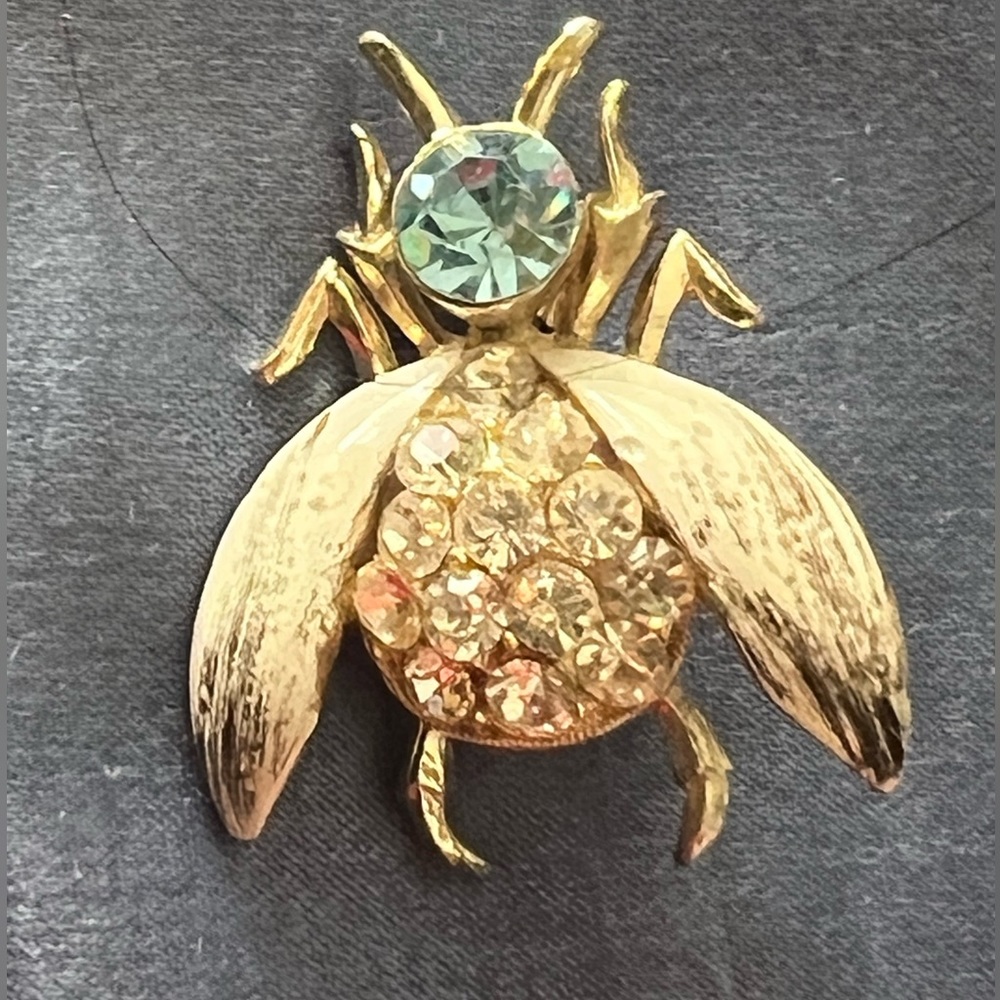 Vintage bug brooch